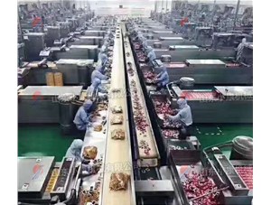 選擇真空包裝機要關(guān)注哪幾點？